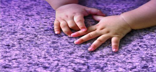 موکت پرزدار