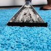 اصول نگهداری از فرش شگی